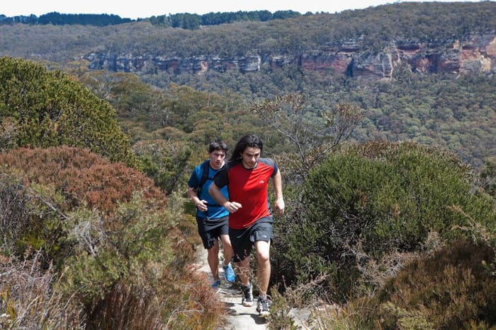 Blue Mountains