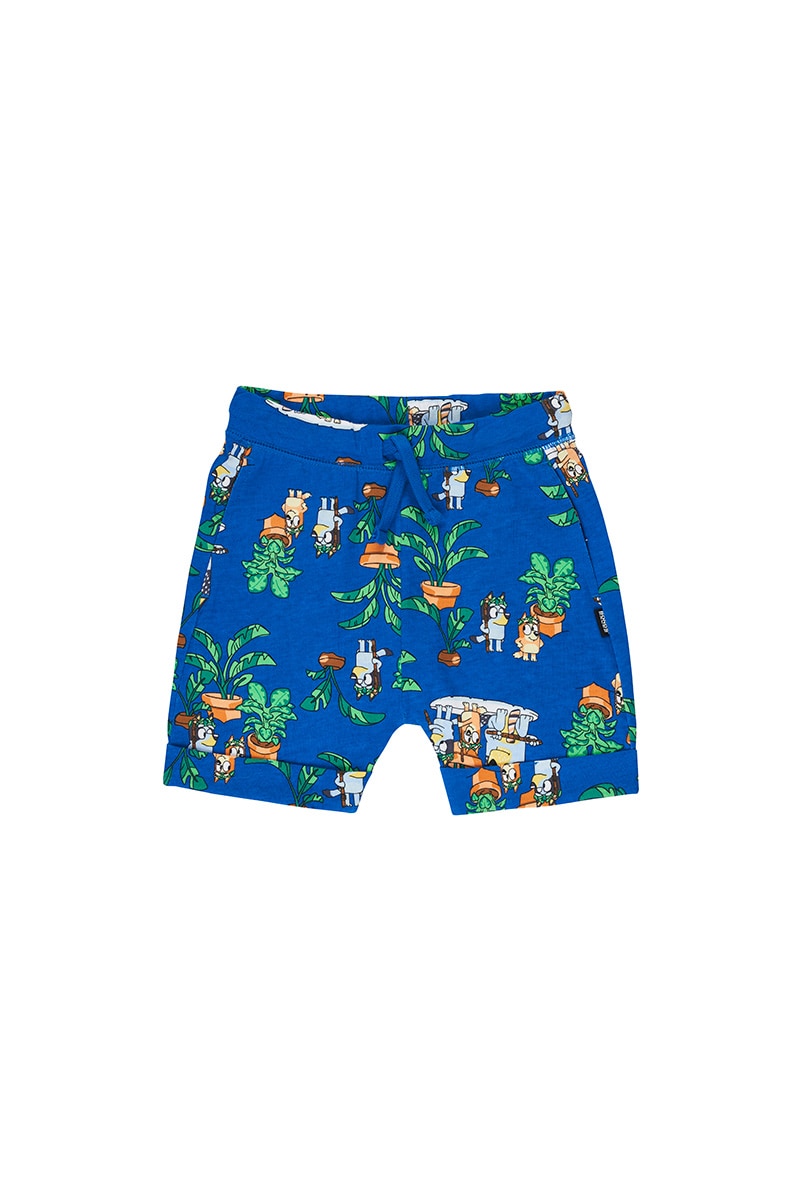 Bluey Hipster Short - Rug Island Bluey Blue Tang