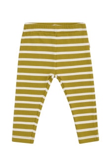 Wide Needle Rib Legging
