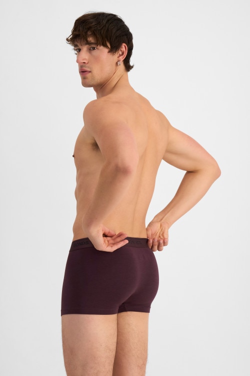 Guyfront Luxe Trunk