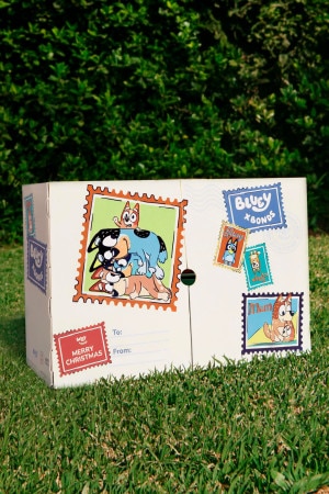 Bluey Baby Advent Calendar
