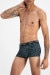 Guyfront Trunk