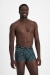 Guyfront Trunk
