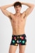 Guyfront Trunk