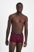 Guyfront Trunk