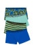 Boys Trunk 4 Pack