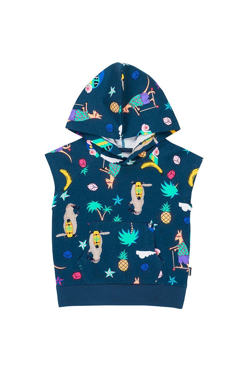 north face campfire pullover