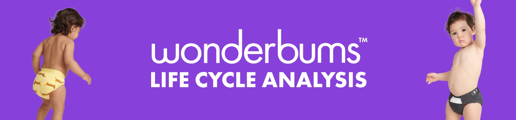 Wonderbums Life Cycle Analysis
