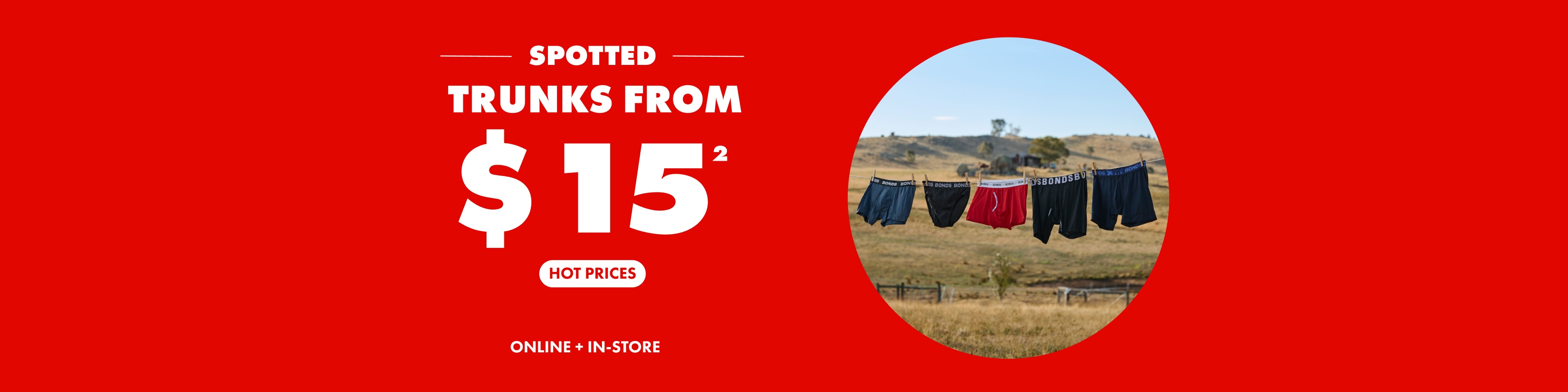 $15 Mens Trunks